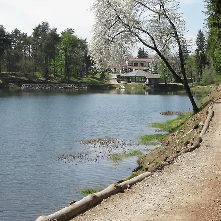 L'incontro Alice Superiore