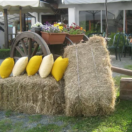 L'incontro * Alice Superiore