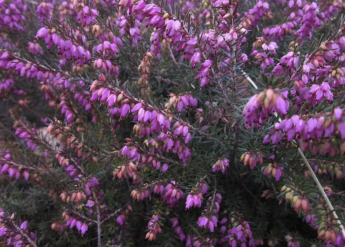 Pensionat L'incontro Alice Superiore