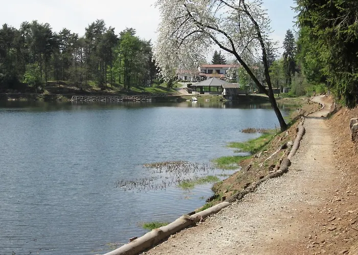 L'incontro Alice Superiore