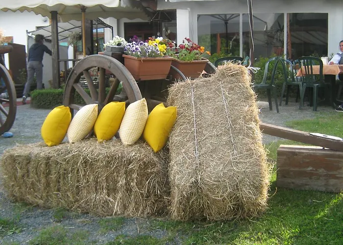 L'incontro * Alice Superiore