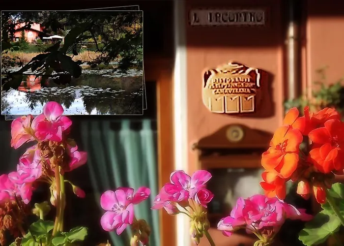 L'incontro * Alice Superiore